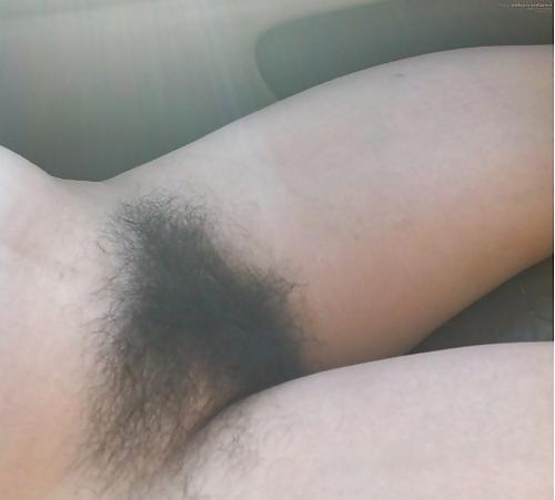 25P More Hairy Pussy