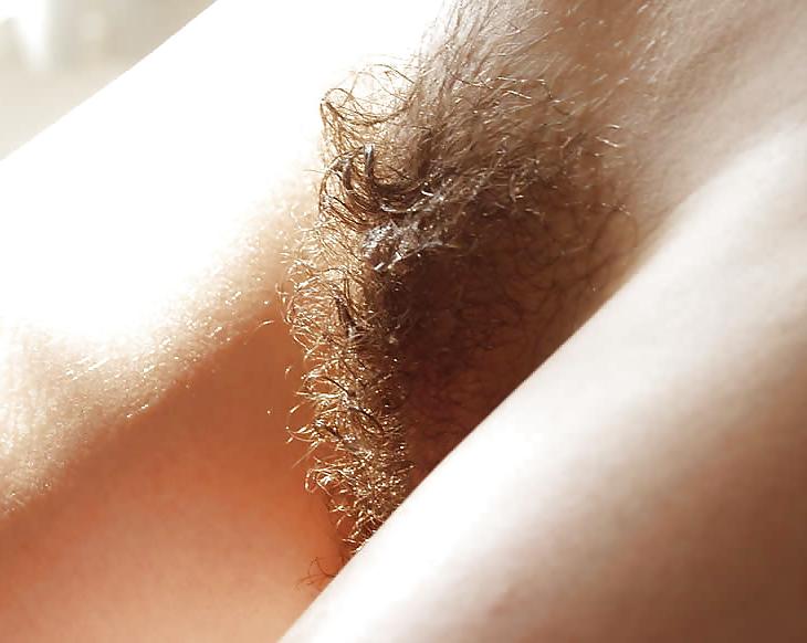 20P Hairy Pussies 1