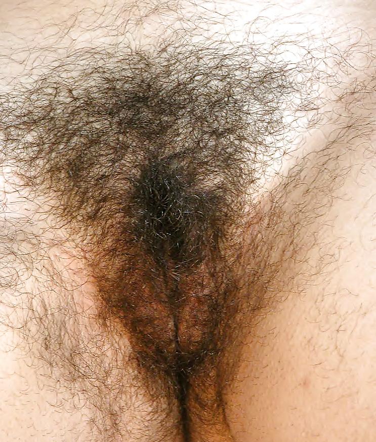 20P Hairy Pussies 1