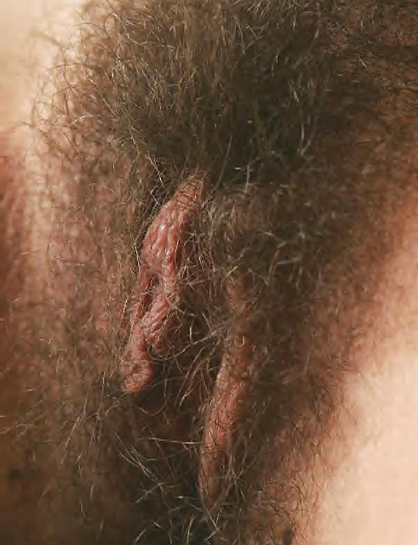 20P Hairy Pussies 1