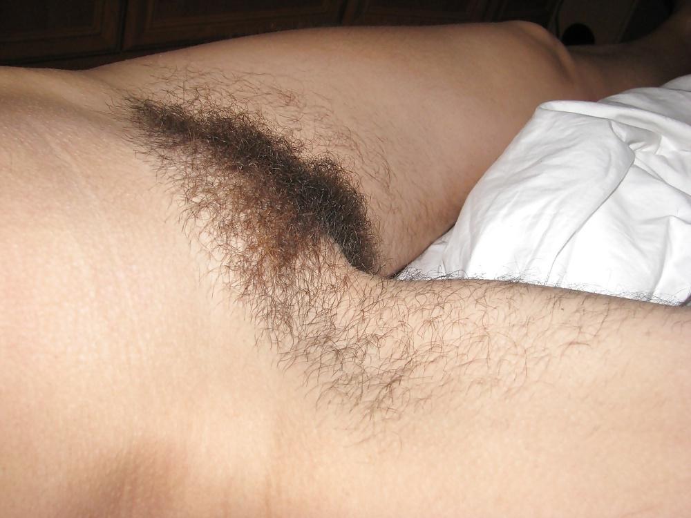 25P Gimme that hairy pussy , gimme gimme gimme