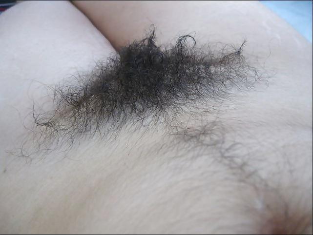 25P Gimme that hairy pussy , gimme gimme gimme