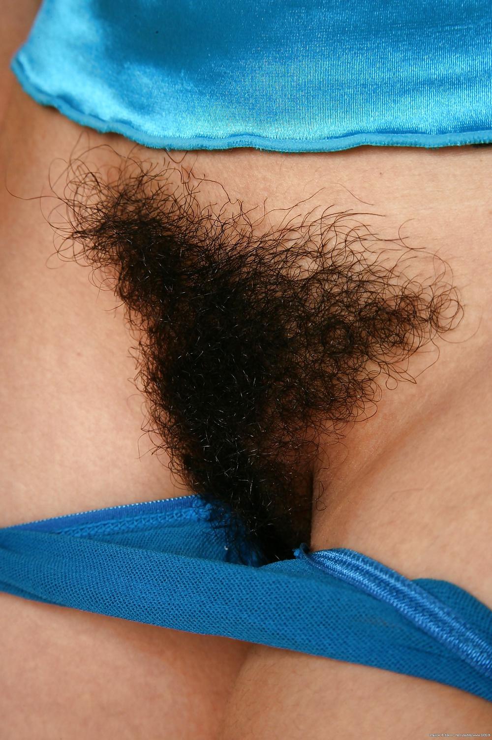 25P Gimme that hairy pussy , gimme gimme gimme