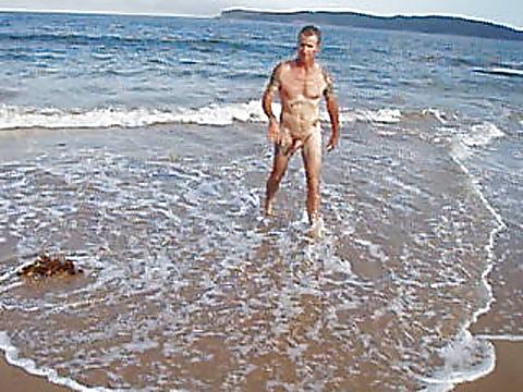 14P A day at the beach with dale