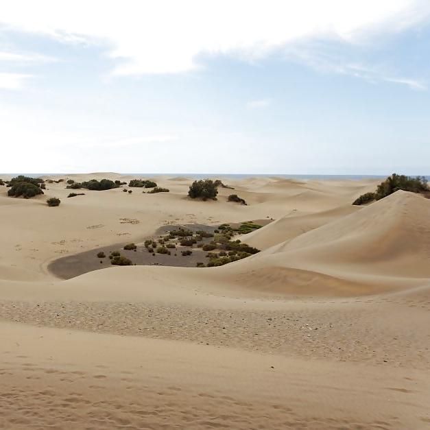 20P DUNES DE MASPALOMAS, GRANDE CANARIE (ESPAGNE)