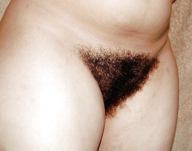 25P Real Hairy Xhamster Amateurs 