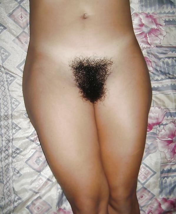 25P Real Hairy Xhamster Amateurs 