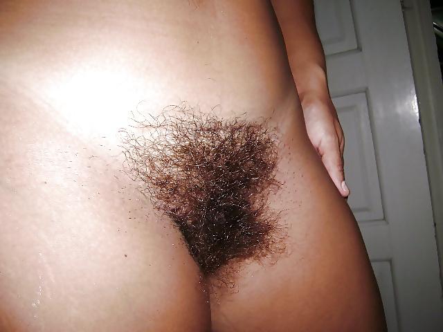 25P Real Hairy Xhamster Amateurs 