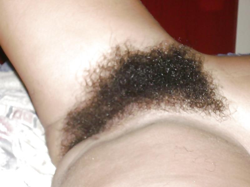 25P Real Hairy Xhamster Amateurs 
