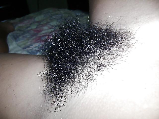 25P Real Hairy Xhamster Amateurs 