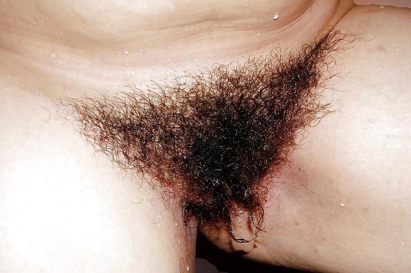 25P Real Hairy Xhamster Amateurs 