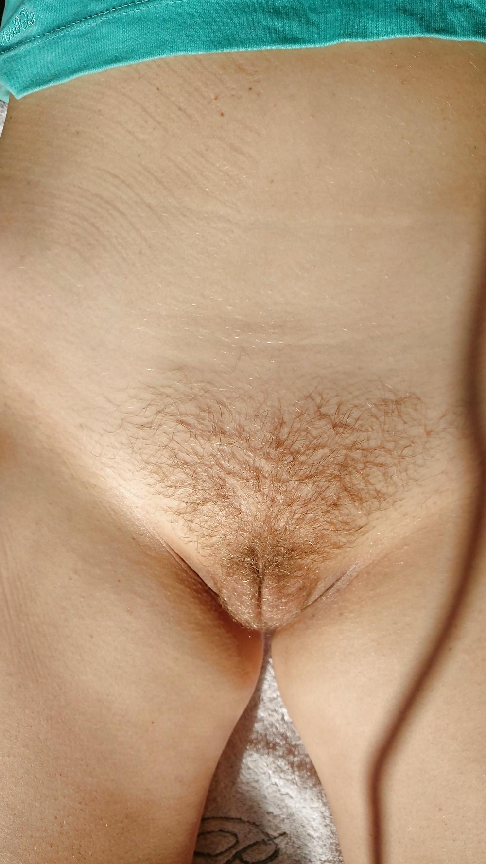 22P Hairy mature pussy of my GF