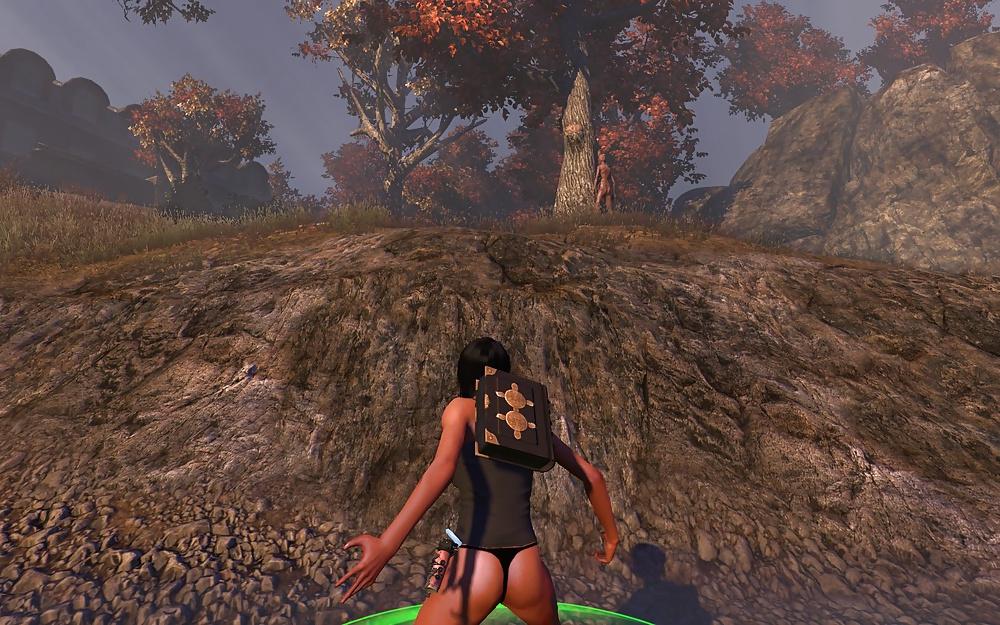 11P The Secret World Ninjette