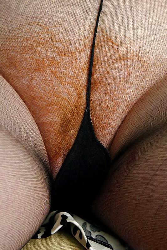 15P Bush beneath nylon 5 red fur