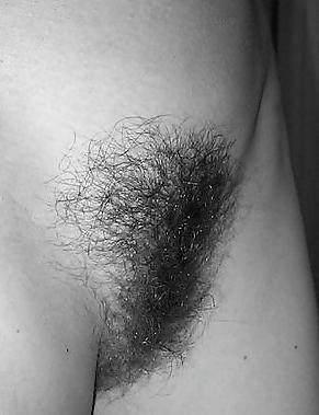 25P Hairy Pussy Hotties (eclectic mix)
