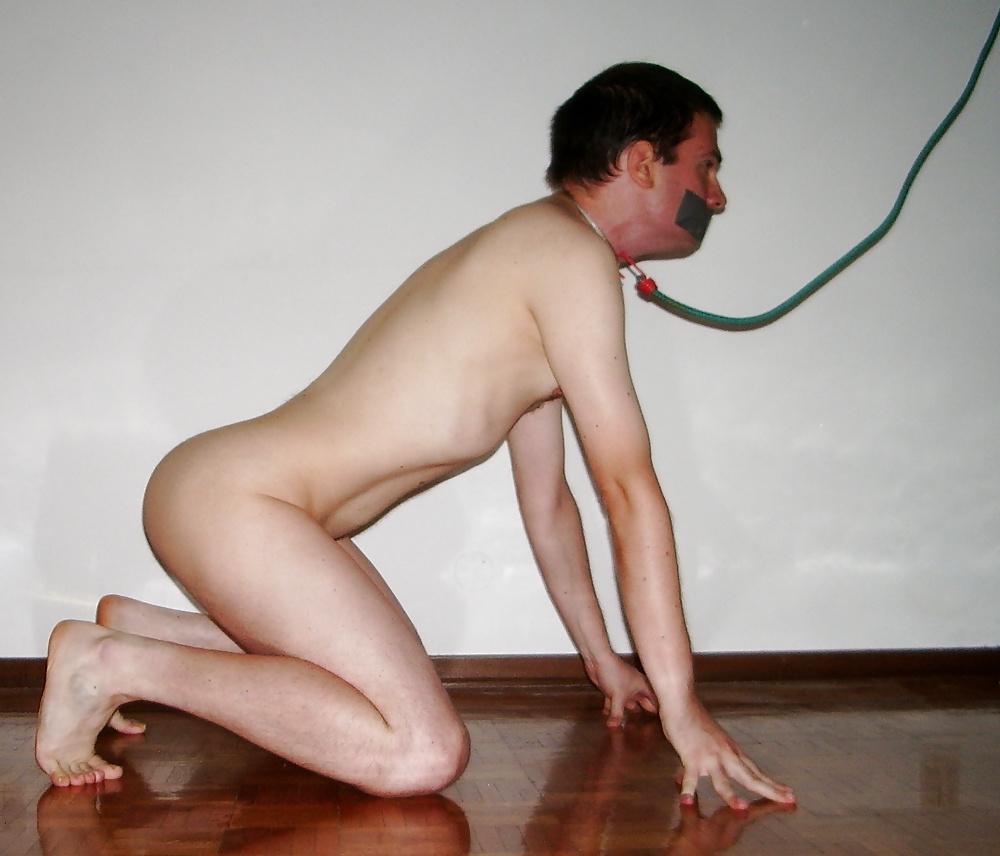 7P CAPTURED AND LEASHED