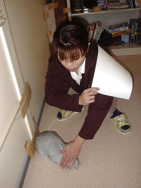 20P Japanese Mature Woman 221 - office 8 NON-Porn