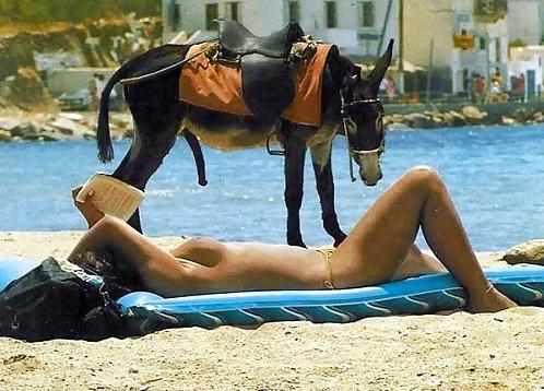 25P Nudist Beach 