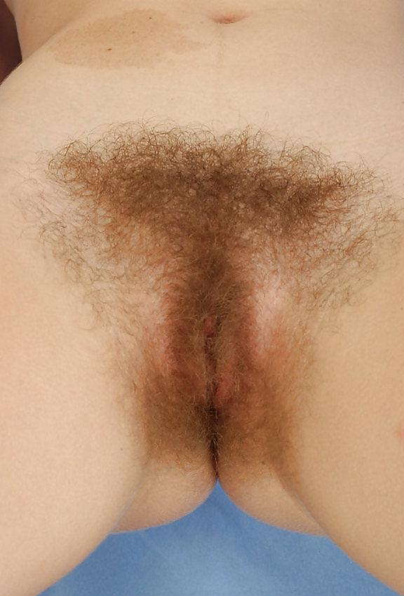 25P Mmmmmm nice hairy pussys closeup