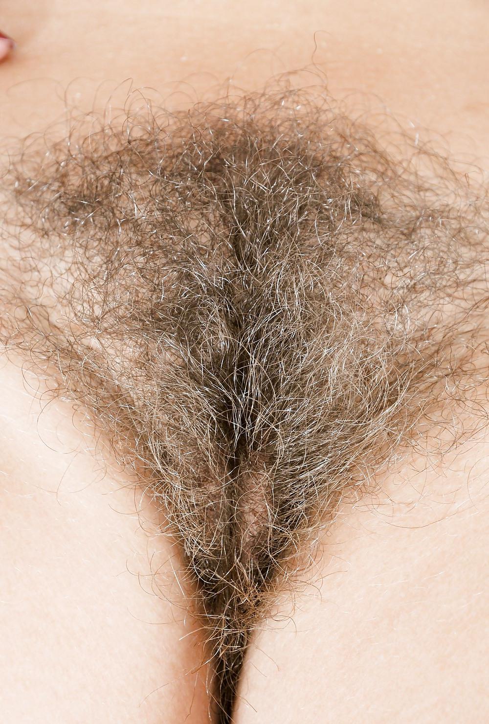 25P Hairy Scary 