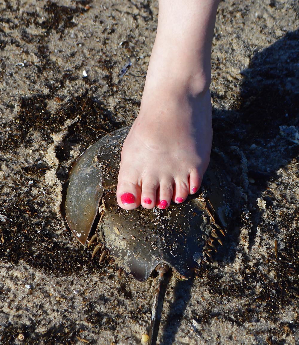 18P Beach Feet