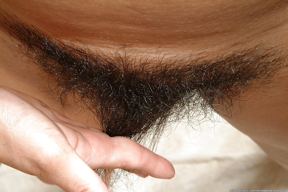 19P Hairy Pussies  Comments Welcomed