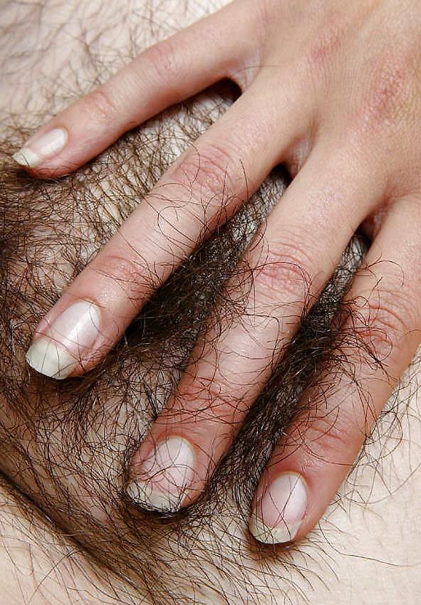 19P Hairy Pussies  Comments Welcomed