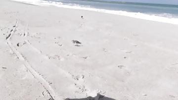 10P Playa  Linda Beach  July 20,2012