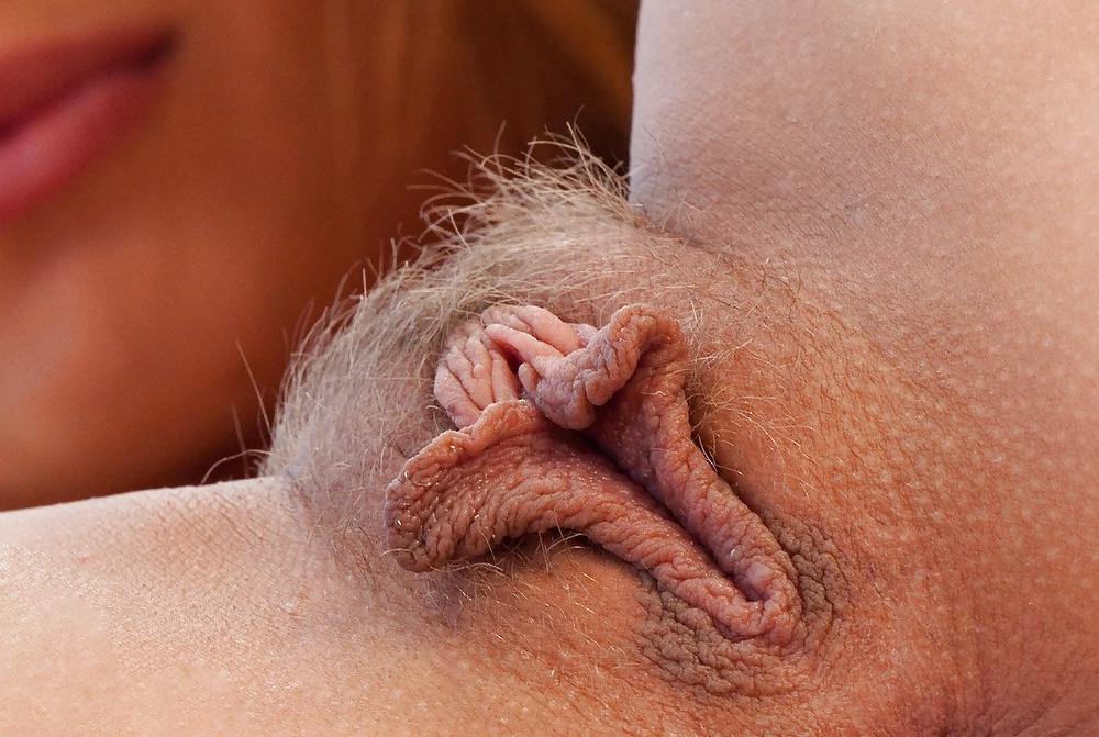 25P Hairy Pussies