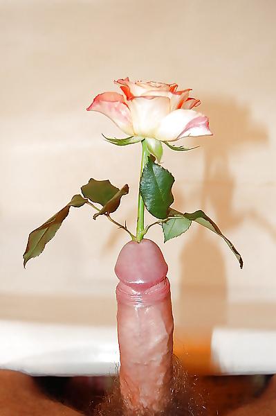25P Funny & sexy 13