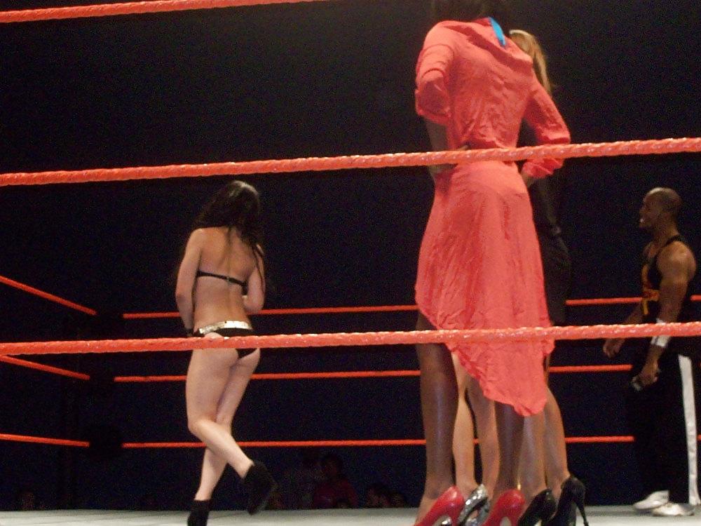 25P Britani Knight aka Paige WWE wrestling babe collection 