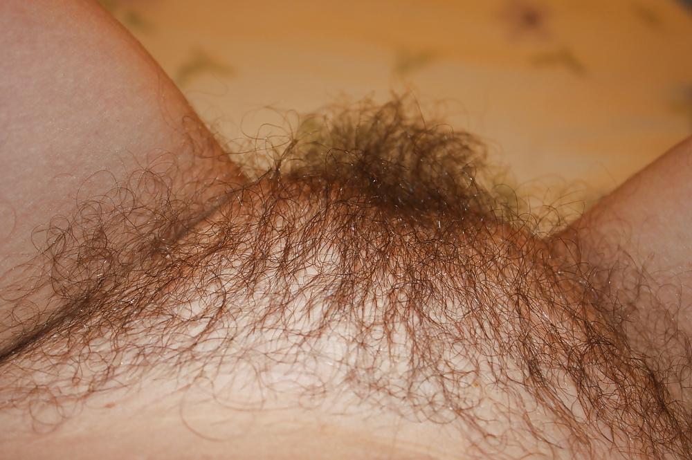 12P Wife hairy pussy 3