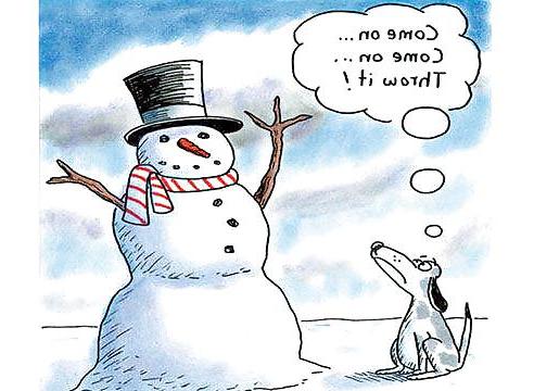 6P More from the grumpy pussy and a few more xmas jokes