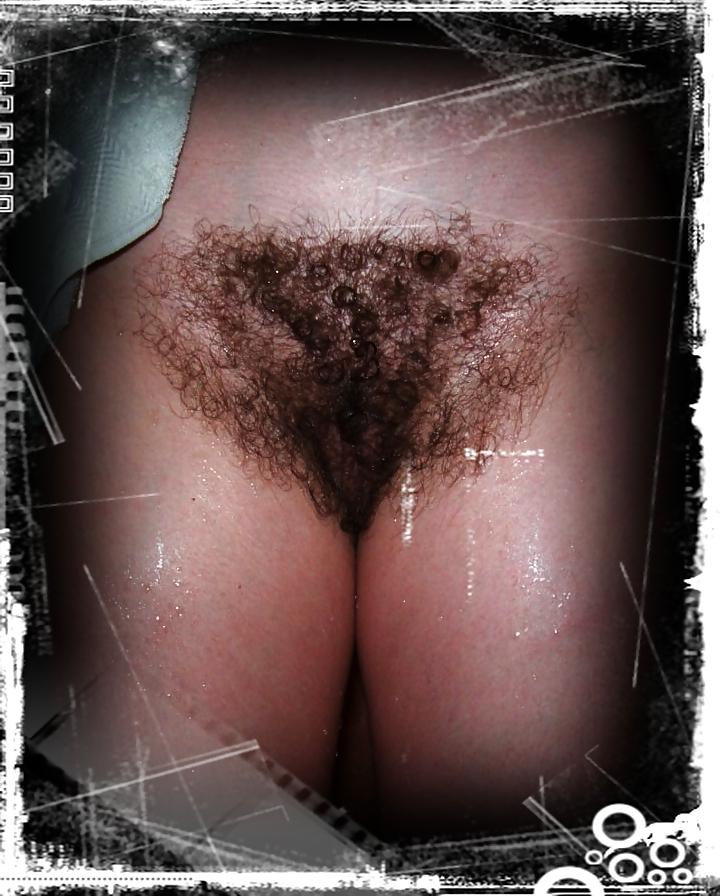 16P Hairy pussy 06.    