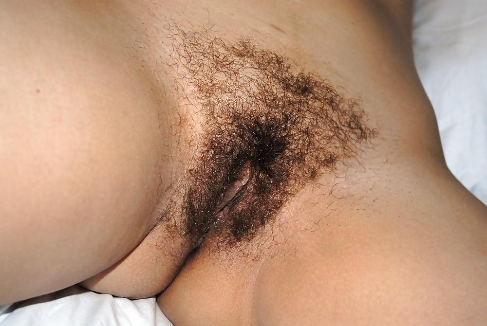 17P Black Beautiful Bush