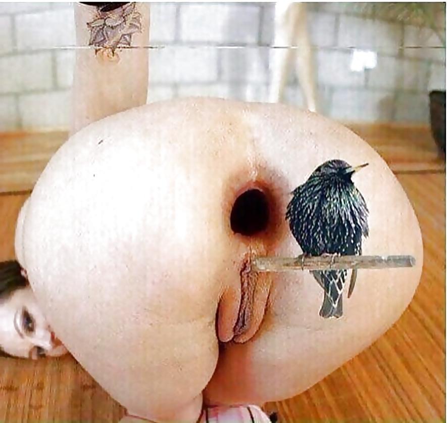 25P Mix of Funny Pics