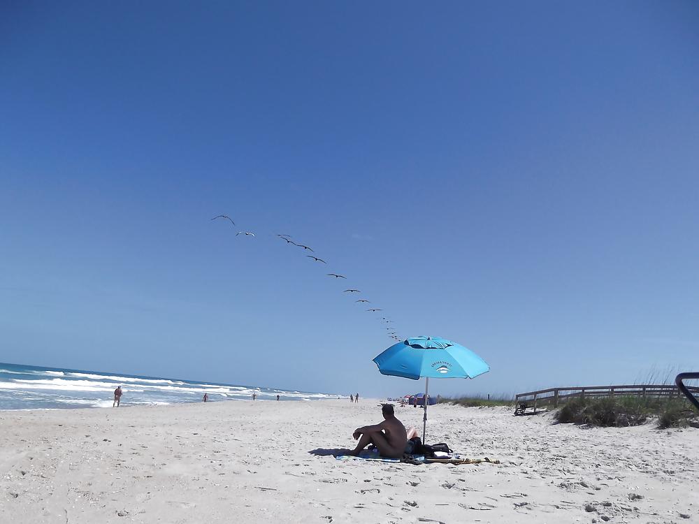 14P The beach ,the birds and a few nudes
