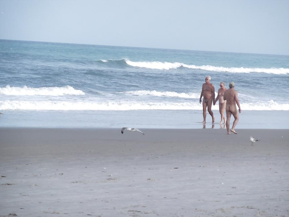 14P The beach ,the birds and a few nudes