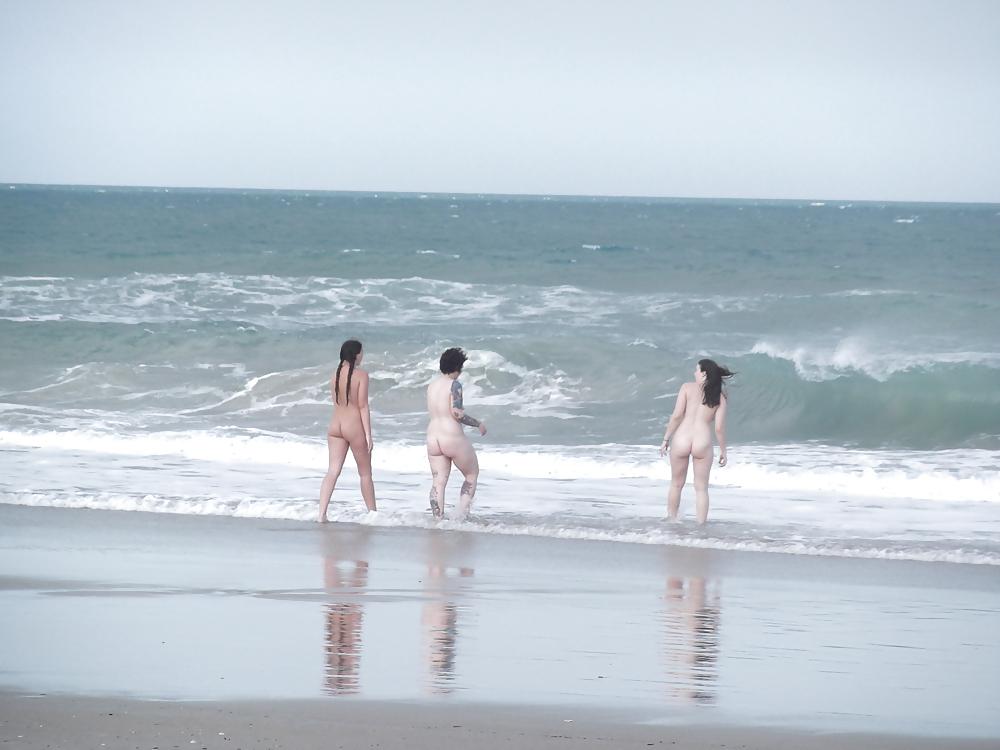 14P The beach ,the birds and a few nudes