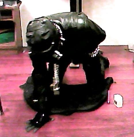 10P Leather Jerkoff Session 3