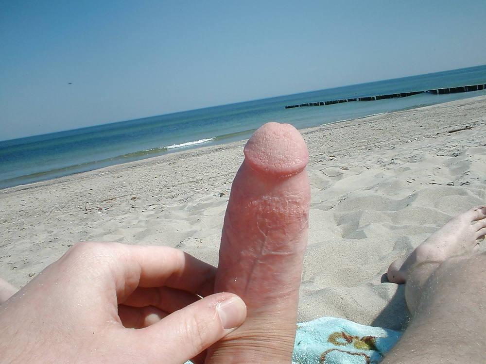 12P Nude dick on the beach
