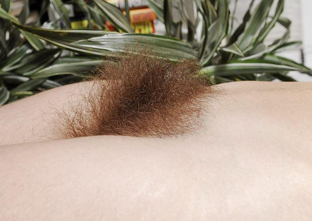 23P More pussy and pussy all hairy