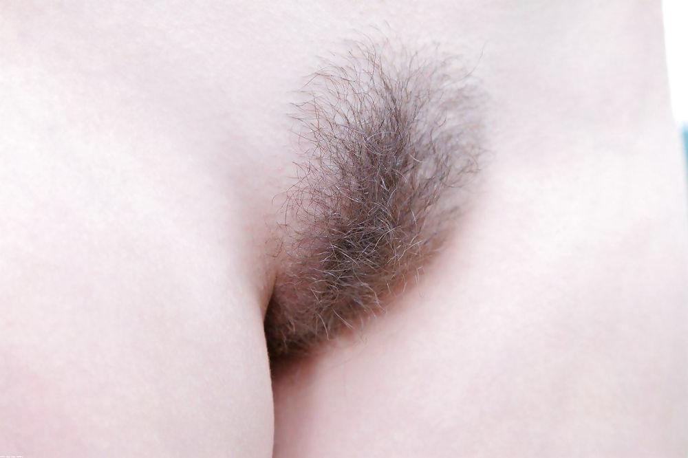 23P More pussy and pussy all hairy