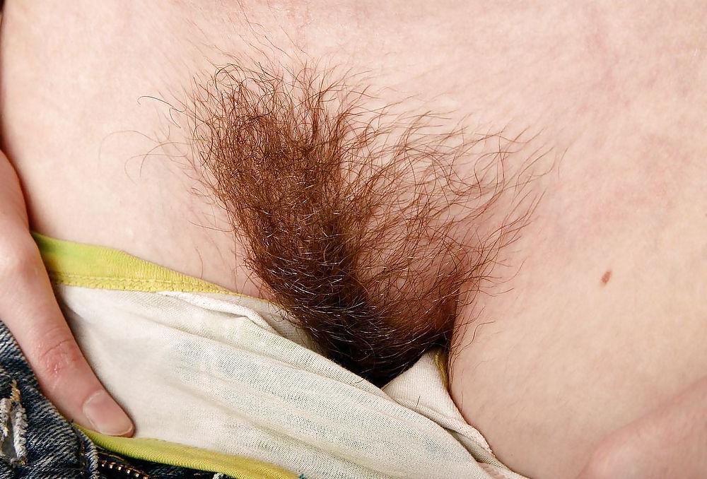 23P More pussy and pussy all hairy