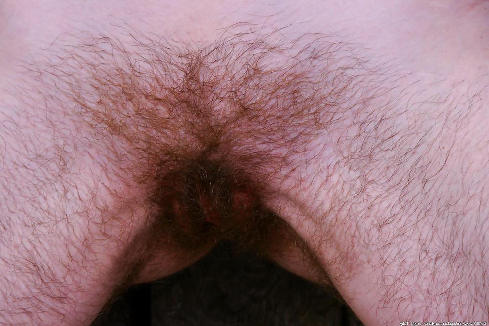 24P Apics of sandy with hairy Pussy Pits and ass