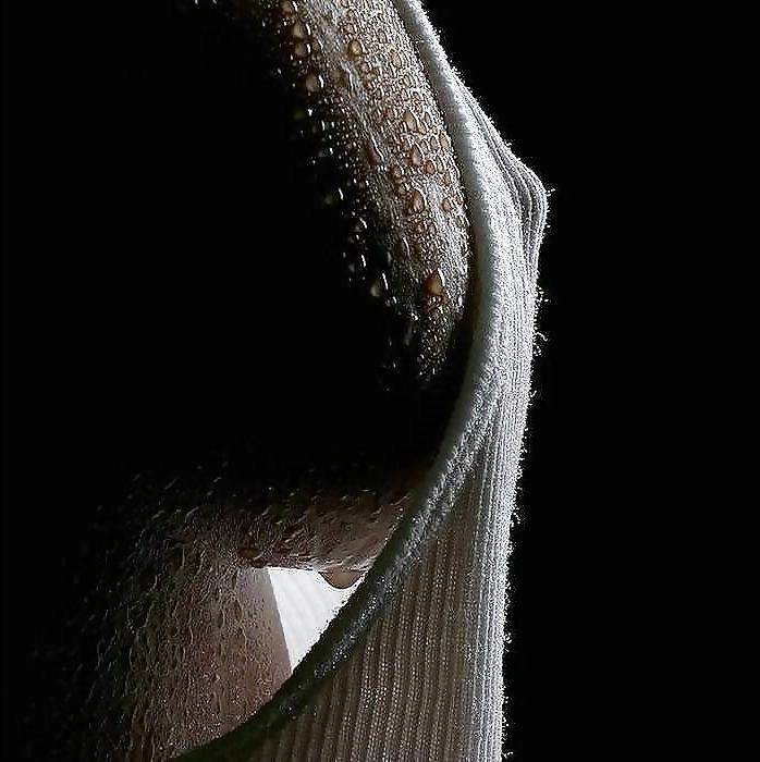 10P Texture...A Seduction