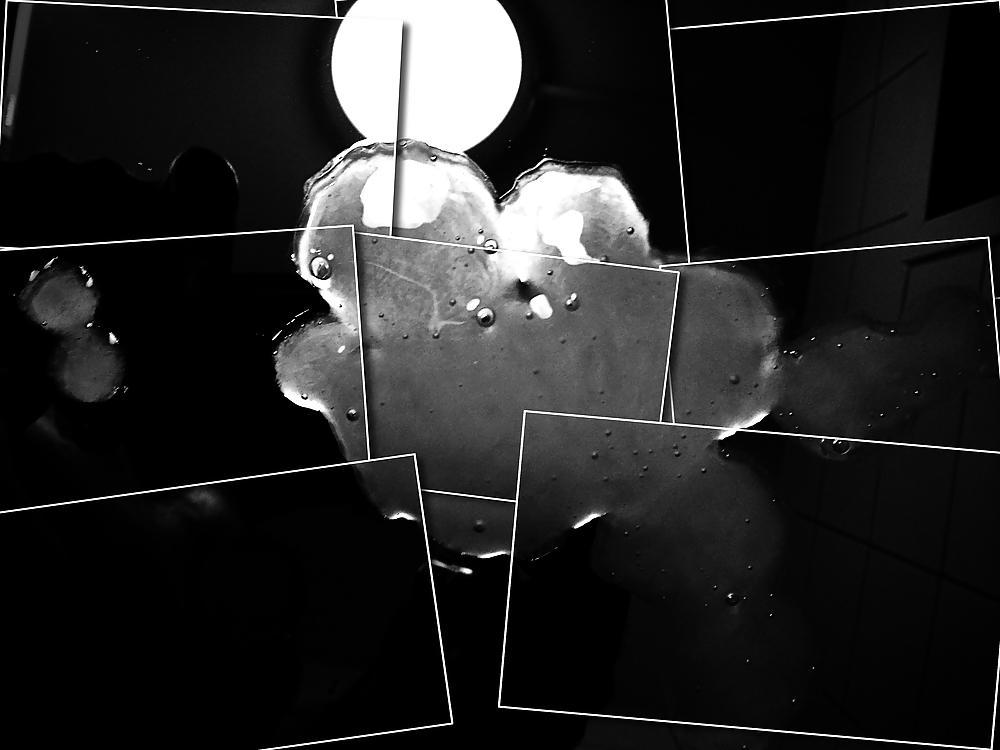 14P My Hairy And Shaved Flying Cumshots In Black & White 3