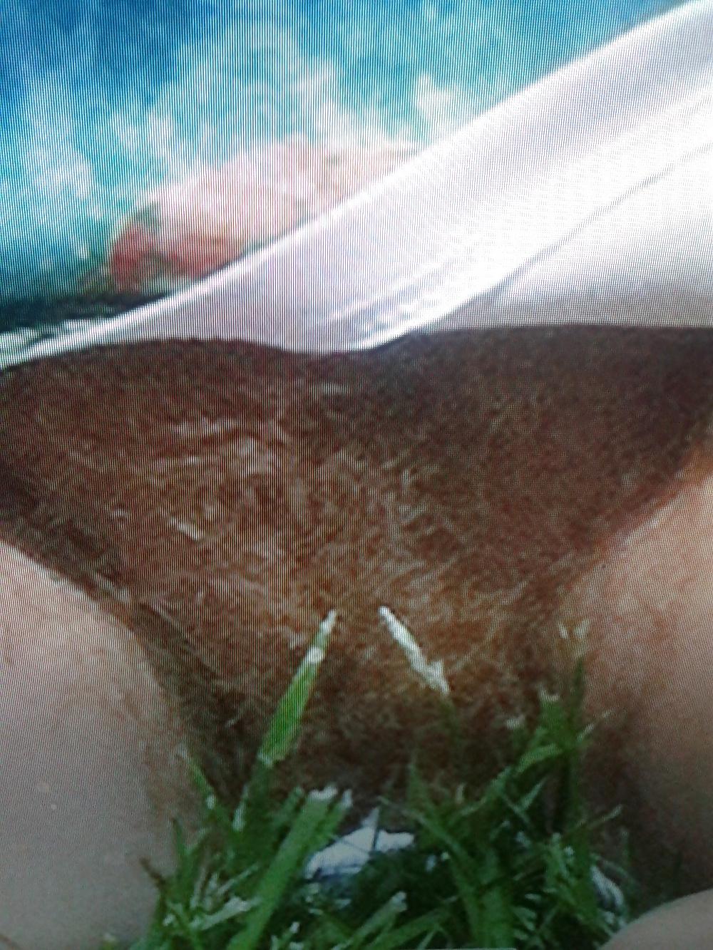 9P Love hairy pussy in the truck and the park