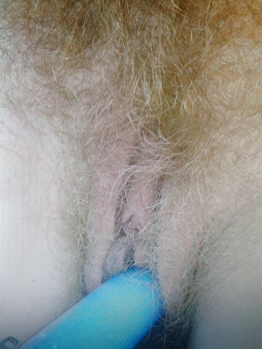 9P Love hairy pussy in the truck and the park