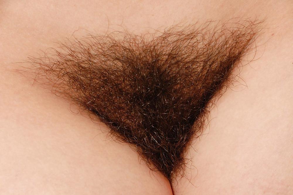 15P Hairy - beautiful small hairy pussy #6